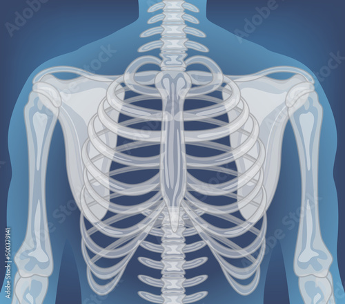 X-ray of human body with internal organs