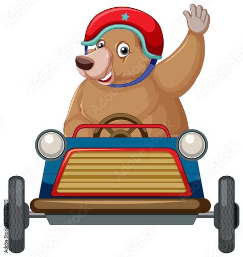 Brown bear driving small car