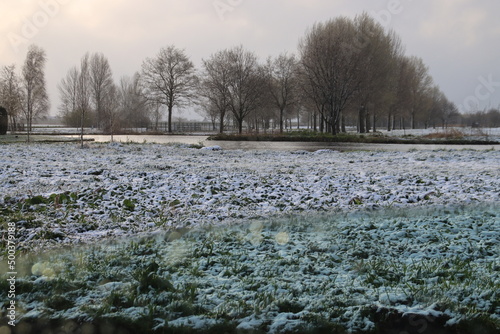 Wallpaper Mural April snow on the 's-Gravenweg and its meadows in Nieuwerkerk Torontodigital.ca