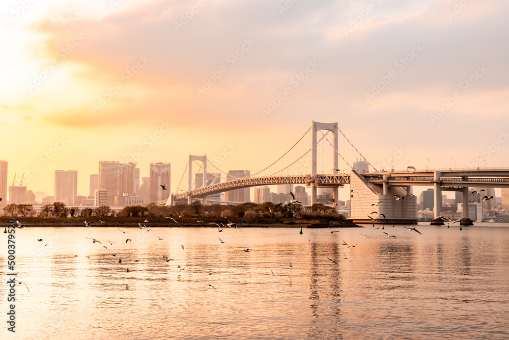 Rainbow Bridge, the most famous bridge in Odaiba and Tokyo area with a lot of migrating Black-headed gull or Yurikamome flying by.