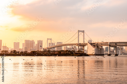 Rainbow Bridge, the most famous bridge in Odaiba and Tokyo area with a lot of migrating Black-headed gull or Yurikamome flying by. © KenSoftTH