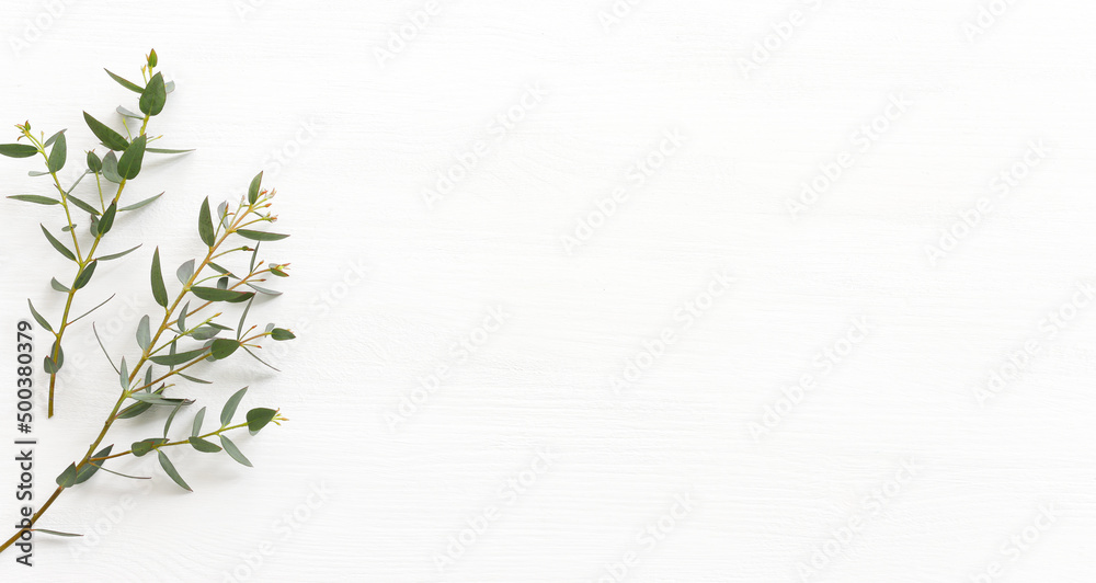 Top view image of eucalyptus over wooden white background. Flat lay - obrazy, fototapety, plakaty 