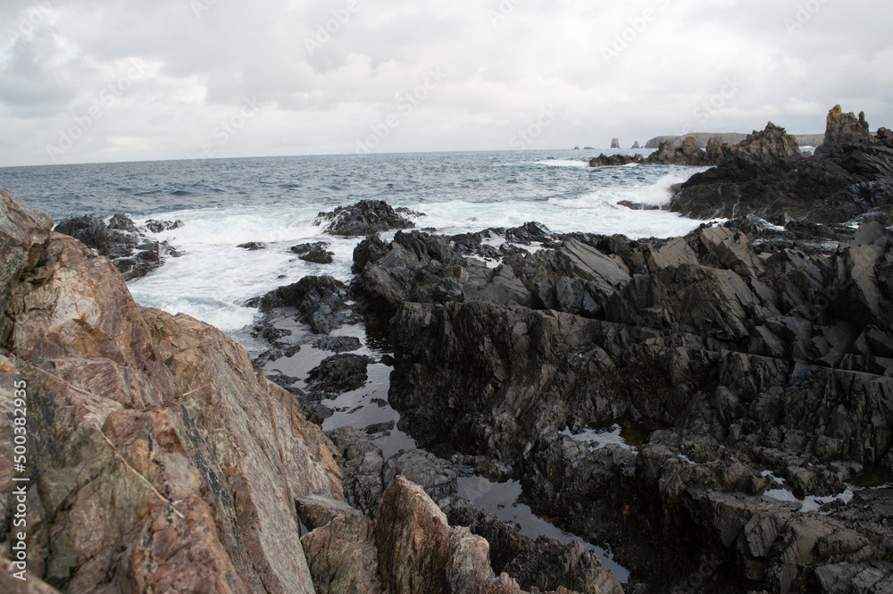 Shores of Newfoundland