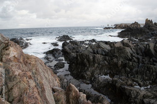 Shores of Newfoundland © Robert