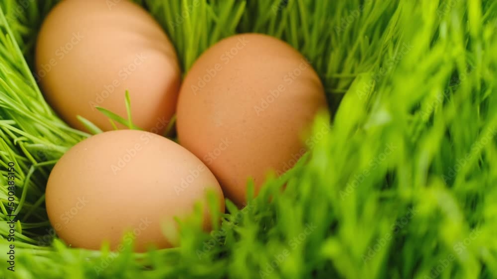 Chicken egg, rotation shot, Chicken fresh raw eggs.Healthy fresh food ingredients for breakfast. Animal products. Grocery. Chicken farm fresh eggs Chicken egg, rotation shot, Chicken fresh raw eggs.Healthy fresh food ingredients for breakfast. Animal products. Grocery. Chicken farm fresh eggs