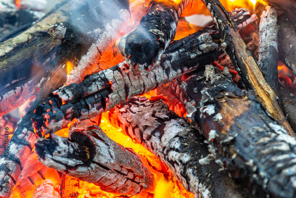 Campfire in the spring forest. Rest on the weekend. Danger of forest fires
