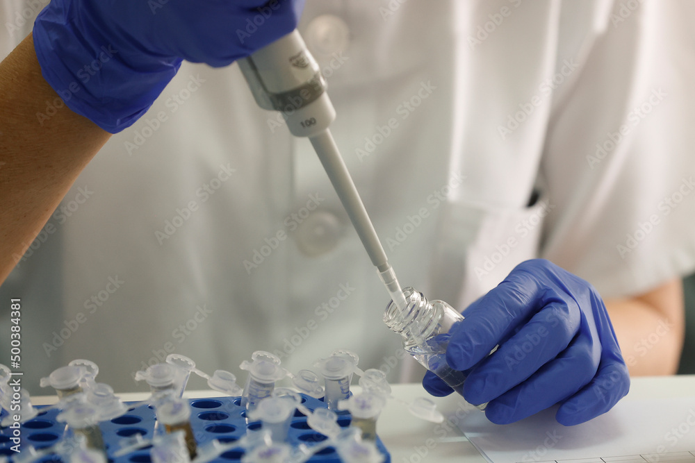 scientist working in laboratory scientist working in laboratory
