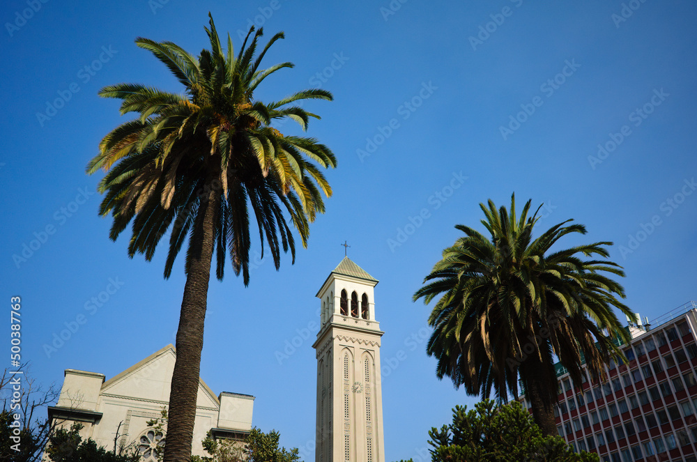 View of bell tower of Catedral de Valparaiso between two palm trees against blue sky. Bell tower of catholic church in gothic architectural  style in El Almendral neighborhood, Valparaiso, Chile
