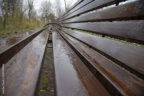 Wet wooden bench close-up in a public park.