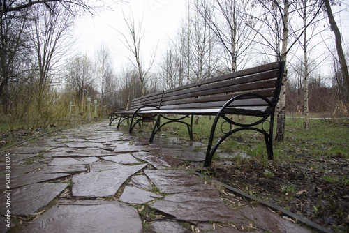 Spring rainy park. Wet benches on the path of broken tiles.