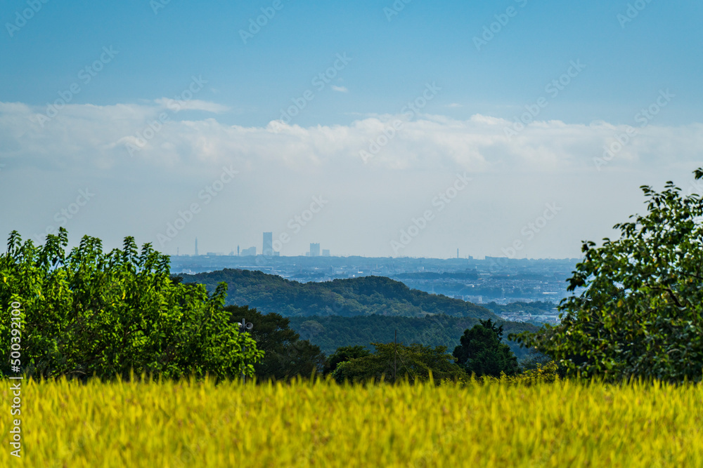 Fototapeta premium 日向薬師の田園地帯と関東平野【神奈川県・伊勢原市】