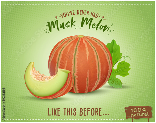 Red Muskmelon vector illustration with watermelon slices and green leaves on light green background