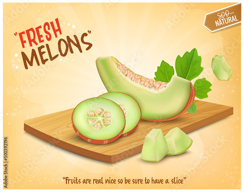 Muskmelon fruit slices vector illustration on wooden chopping board