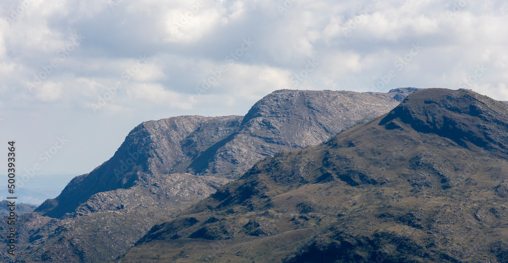 Fototapeta premium Nature