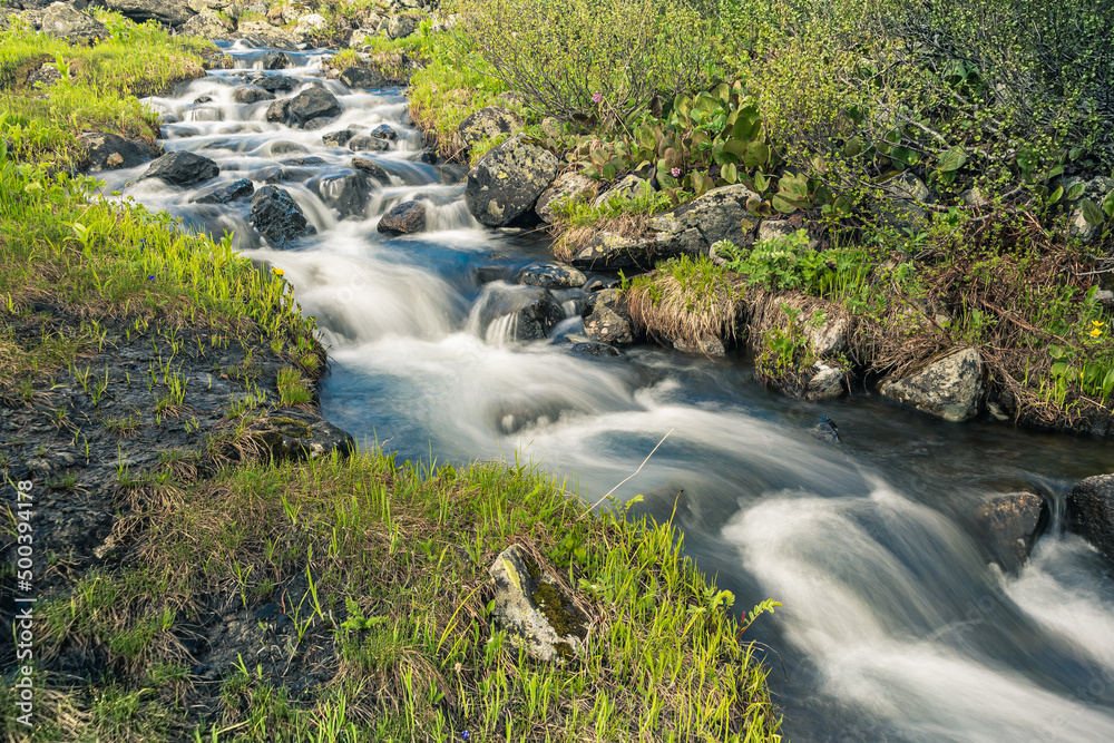 Fototapeta premium Spring creek among rocks and green grass. Mountain stream on summer day. Water foams in riverbed, source of moisture for thirst quenching and irrigation