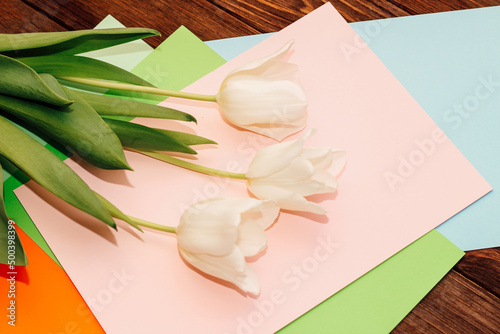 Fototapeta Naklejka Na Ścianę i Meble -  Bouquet of white tulips on colored paper cardboard, floral bouquet collection.
