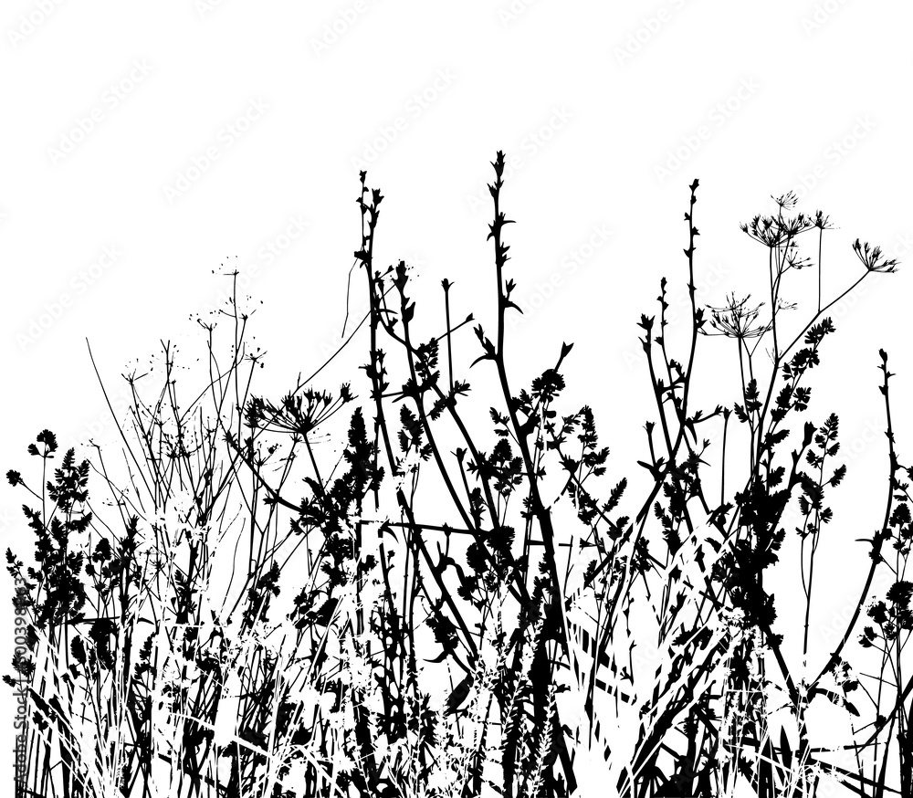 Black silhouettes of grass, flowers and herbs isolated on white background. Hand drawn sketch flowers. Vector illustration