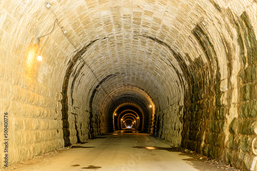 初春の旧天城トンネル 静岡県伊豆市 Old Amagi Tunnel in early spring. Shizuoka-ken Izu city.