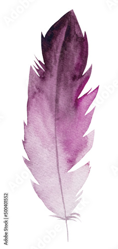Watercolor pink feather, Bohemian element illustration isolated