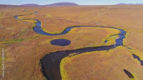 Backward drone flight over the tundra of the north slope in autumn colors, Alaska, USA photo