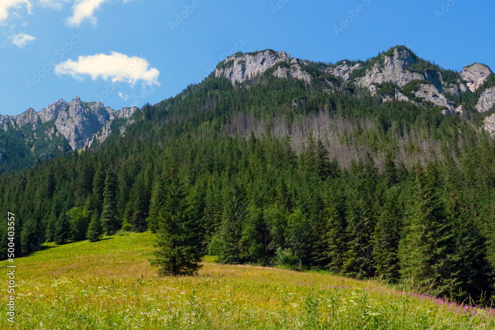 Scenic views of the mountains on a summer day.