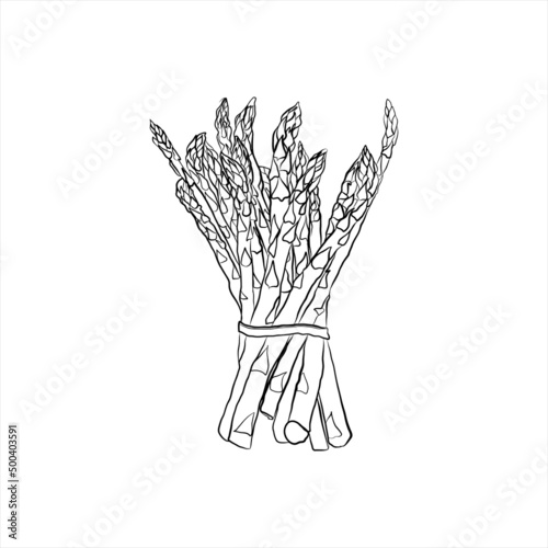 bunch of asparagus