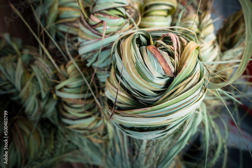 A tied up bundles of Wild sugarcane kans grass, Saccharum spontaneum. Himalayan region of North India. It is a perennial grass, growing up to three meters in height, with spreading rhizomatous roots. photo