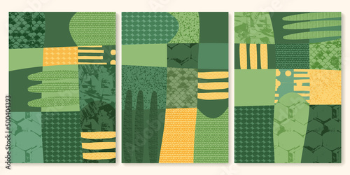 Vineyard field with texture vector illustration. Abstract winery agriculture, eco green background. Set of farm aerial view poster, geometric map, simple garden landscape, organic rice plantation