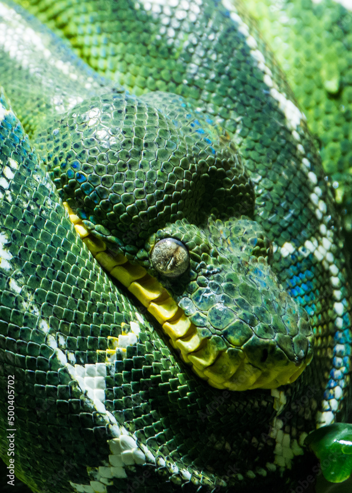 Obraz premium Photographie 