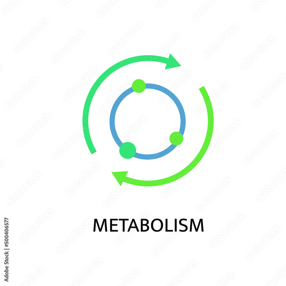 Metabolism icon. Linear medical pictogram. Chemical process sign. Energy burning. Scientific, medicine, body health symbol. Healthcare graphic design. Vector illustration isolated on white background Metabolism icon. Linear medical pictogram. Chemical process sign. Energy burning. Scientific, medicine, body health symbol. Healthcare graphic design. Vector illustration isolated on white background