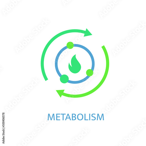 Metabolism icon. Linear medical pictogram. Chemical process sign. Energy burning. Scientific, medicine, body health symbol. Healthcare graphic design. Vector illustration isolated on white background