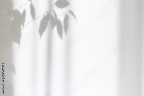 White cement texture wall with gray shadow of leaf plant. Summer abstract background. Minimal concept. Copy space. Mockup. photo