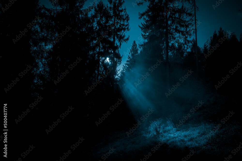 Moonlight through the mist in the spooky night forest, create a spotlight on the grass. Halloween backdrop. Moonlight through the mist in the spooky night forest, create a spotlight on the grass. Halloween backdrop.