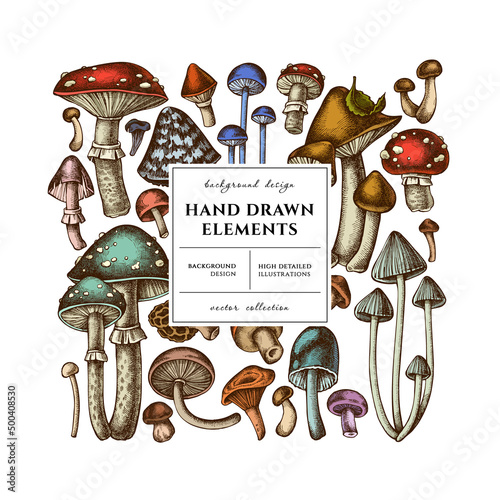 Forest mushrooms square card or invitation design. Frame design with mushrooms, fly agaric, blewit, etc.