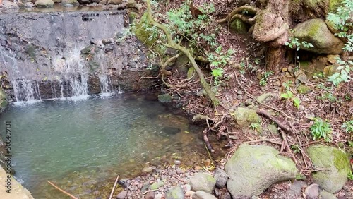 Stream in the forest. Hiking and mini waterfall in Hawaii.