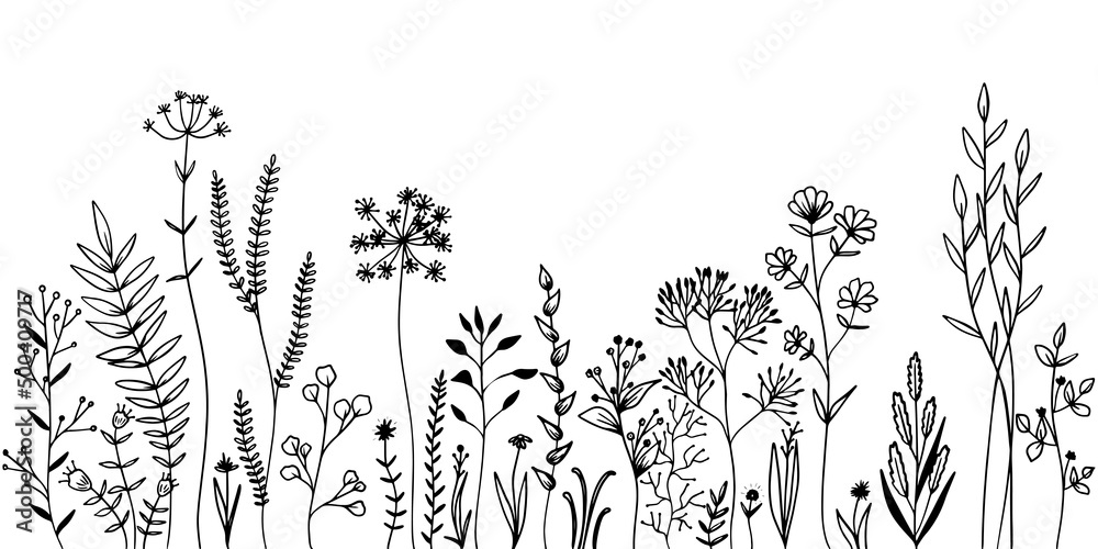 Obraz premium Set of wild meadow herbs and flowers. Hand drawn black vector illustration. Isolated elements for design.