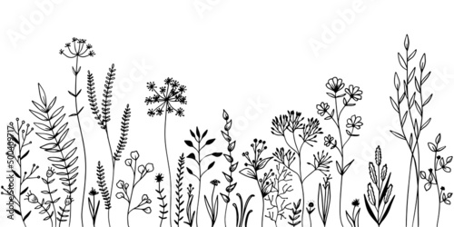 Set of wild meadow herbs and flowers. Hand drawn black vector illustration. Isolated elements for design.