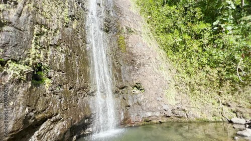 A view from Lulumahu Falls. Waterfall in the forest.