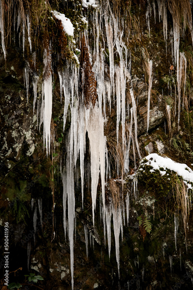 Winter icicles hanging from a cliff. Row of frosty icicle nature. Winter icicles hanging from a cliff. Row of frosty icicle nature.