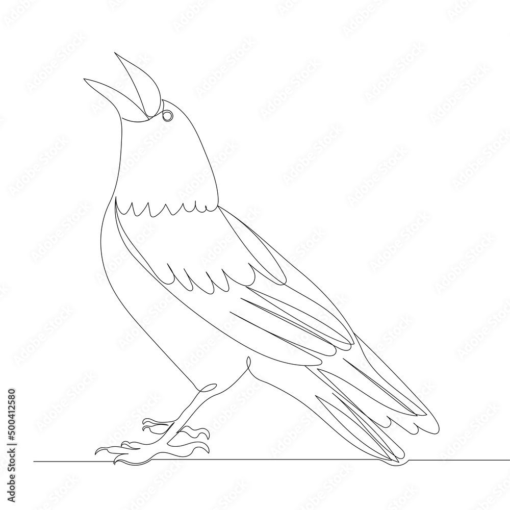 Raven continuous line drawing, sketch, vector Raven continuous line drawing, sketch, vector