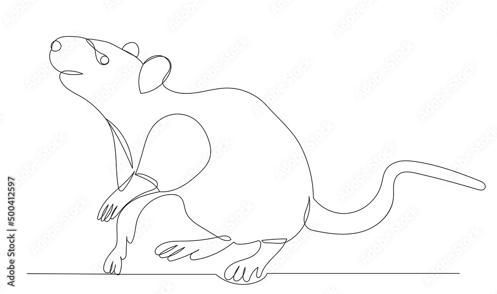 Obraz premium mouse continuous line drawing, sketch, vector