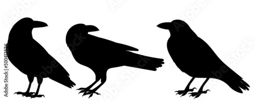 crows silhouette, on white background, isolated