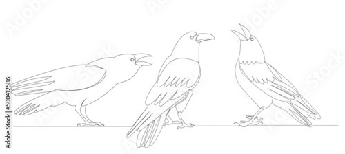 crows continuous line drawing, sketch, vector