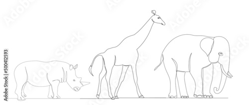 african animals continuous line drawing  sketch  vector