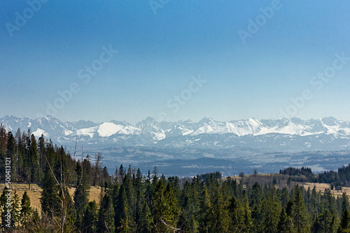 landscape with forest and mountains on the horizon. Polish Tatras