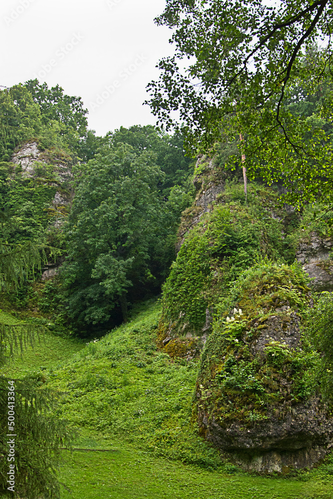 Fototapeta premium beautiful summer landscape with rocks and forest