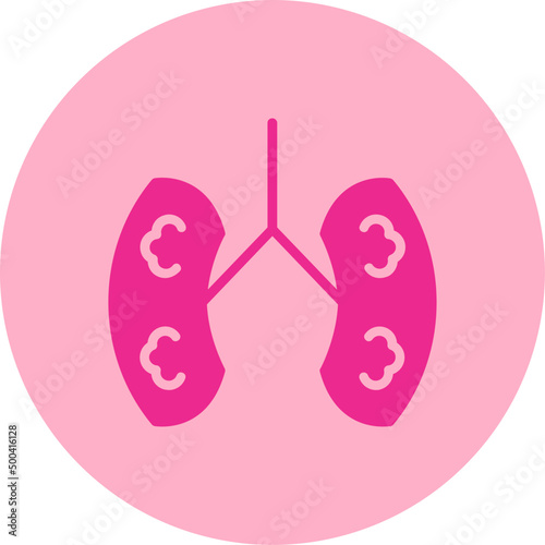 Kidneys Icon