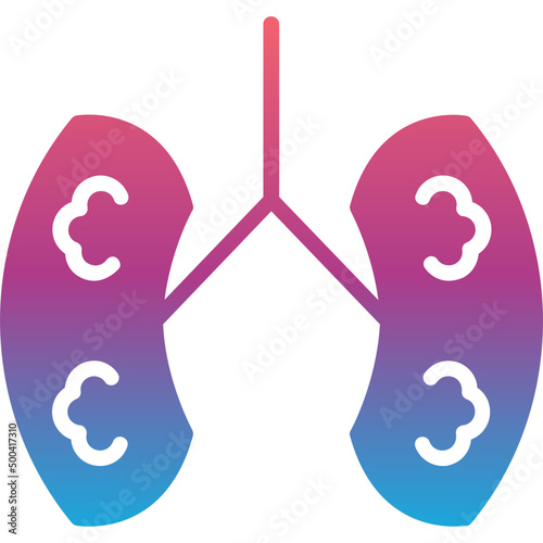 Kidneys Icon