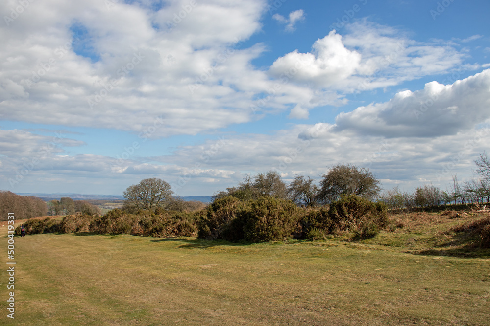 Obraz premium Hergest ridge along the border of England and Wales.