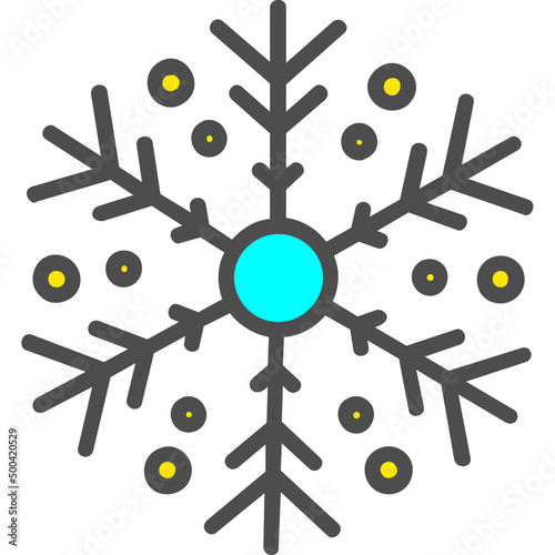 Snowflake Icon